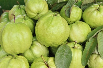 Canvas Print - Guava fruit is delicious at street food