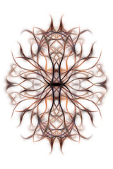 Poster - Ornamental mandala and fractal effect on black background.