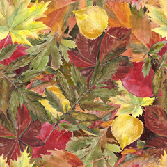 Wall Mural - Watercolor seamless background leafs. Autumn