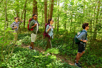 Sticker - travel, tourism, hike and people concept - group of friends walking with backpacks in forest