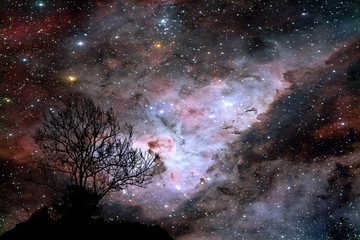 Wall Mural - blur galaxy on night cloud sunset sky silhouette branch and tree