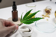 cbd thc oil medical treatment in doctor laboratory. natural medicine on clinical research .