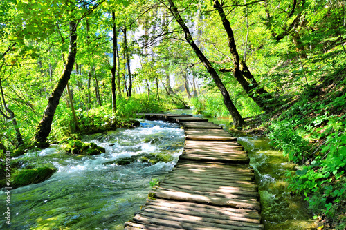 Fotomural Wooden boardwalk through the water filled landscape of Plitvice Lakes National P