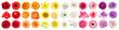 Leinwandbild Motiv Set of different beautiful flowers on white background. Banner design
