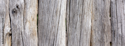 Cracked dirty shabby wooden gray texture