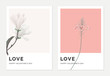 © momosama - Minimalist botanical valentine greeting card template design, Anise magnolia on grey and peacock on pink