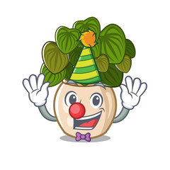 Poster - Clown peperomia with in the cartoon shape