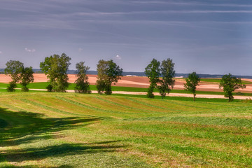 Wall Mural - Beautiful lansdscape with Haymaking, Poland 