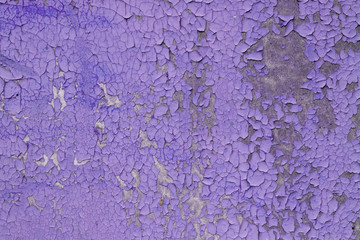 rough background for designers. The texture of the old cracked lilac paint. Old broken paint on a concrete wall.