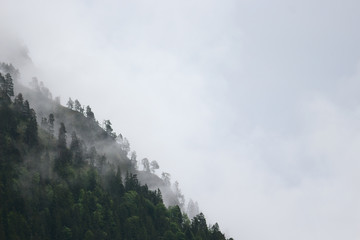 Berg im Nebel