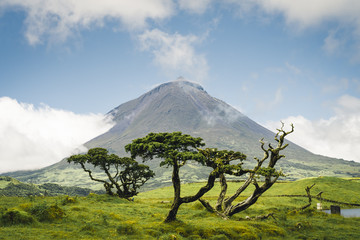 The famous Mount Pico, a volcano, on Pico Island, Azores, Portugal. against blue sky on a summer day