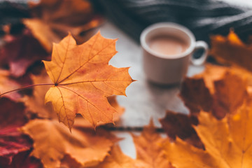 Fotomurales - Autumn home cozy composition a cup of coffee with maple leaves.Selective soft focus