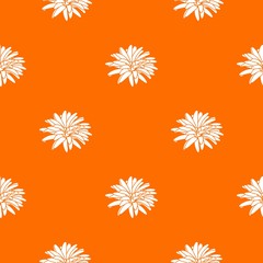 Wall Mural - Aster flower pattern vector orange for any web design best