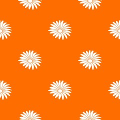 Poster - Gerber flower pattern vector orange for any web design best