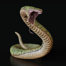 Snake With An Open Mouth.3d Illustration