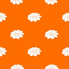 Poster - Bright flower pattern vector orange for any web design best