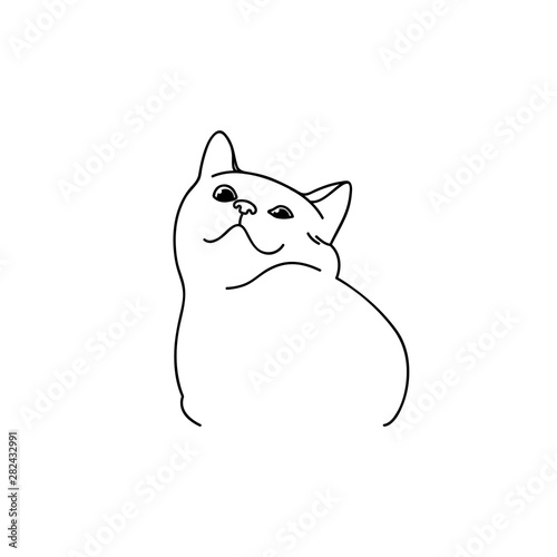 Muzzle Of A Funny Cute Smiling Cat Portrait Of A Pet With An