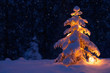 © vvlink - Christmas tree with a lantern in the snow in the woods. New year in the forest