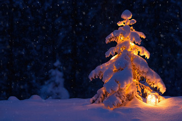 Christmas tree with a lantern in the snow in the woods. New year in the forest