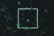3d Rendering Of White Square Neon Light With Daisy Plants And Flowers. Flat Lay Of Minimal Nature Style Concept