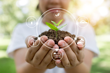 plant tree and innovation of save world concept, girl holding small sapling growing up from soil on 