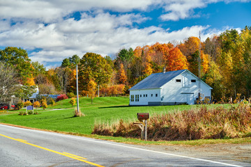 Poster - Highway at sunny autumn day in New Hampshire, USA