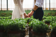 Midsection Of Bride And Groom Holding Hands In Plant Nursery
