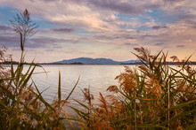 sunset over lake - Lake with grass in the foreground, on the horizon the Pavlov hills (The Pálava Protected Landscape Area, a UNESCO biosphere reserve), the sun-colored clouds in orange