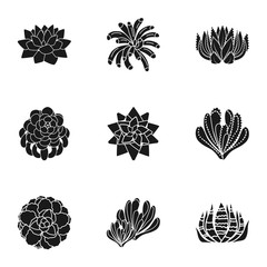 Poster - Succulent botany icon set. Simple set of 9 succulent botany vector icons for web design isolated on white background