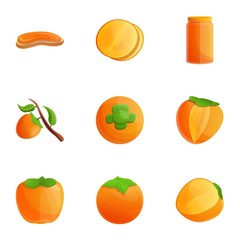 Poster - Orange persimmon icon set. Cartoon set of 9 orange persimmon vector icons for web design isolated on white background