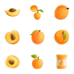 Wall Mural - Organic peach icon set. Cartoon set of 9 organic peach vector icons for web design isolated on white background