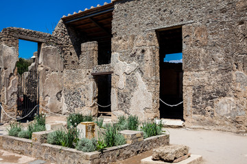 Ruins of the ancient city of Pompeii