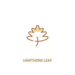 Wall Mural - hawthorn leaf concept 2 colored icon. simple line element illustration. outline brown hawthorn leaf symbol. can be used for web and mobile ui/ux.