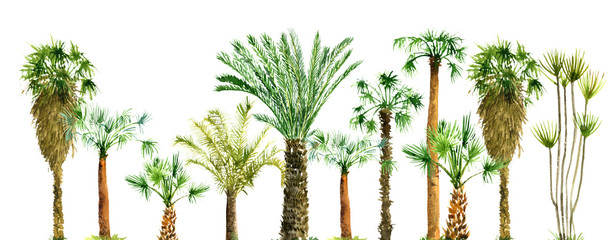 watercolor sketch of palm trees