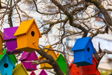 Colorful group of birdhouses on a dry tree