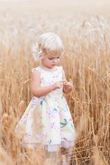  Little girl in cereal field. Girls in the grain-field. Happy little girl child in wheat cereal field in summer. Summer. Adorable smiling little girl in the wheat field on summer day.