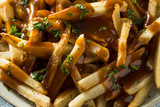 Fototapeta Do pokoju - Homemade American Gravy Fries