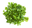 big bunch of natural green parsley herb isolated