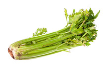 Fresh Celery Stalk Isolated On White