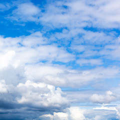 Wall Mural - dense white and gray clouds in blue sky on summer