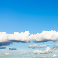 Wall Mural - low white clouds in blue sky in summer twilight