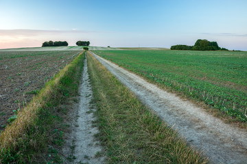 A long road through the fields