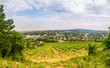 © MysteryShot - Wide angle view of a Vineyard in western part of Vienna Austria