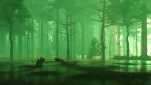 Mysterious Forest Swamp At Foggy Night Or Dusk