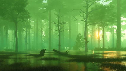 Wall Mural - magical sunset in a dark swampy night forest