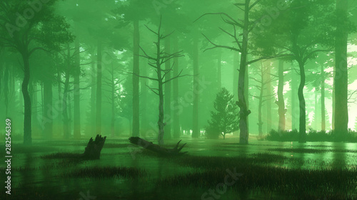 Fotomural Mysterious forest swamp at foggy night or dusk