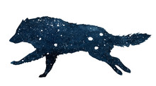 Watercolor Illustration Of The Silhouette Of A Running Wolf In The Snow On A White Background
