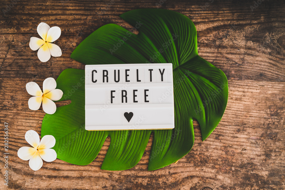 cruelty free message on lightbox vegan products and ethics - obrazy, fototapety, plakaty 