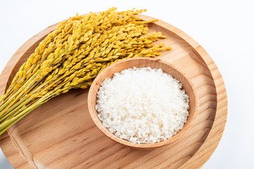 Golden rice ear and white round grain northeast rice