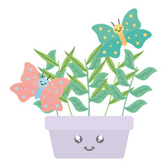 Poster - house plant in ceramic pot with butterflies kawaii style